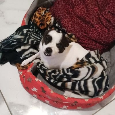 DanielaCiorba3's profile image