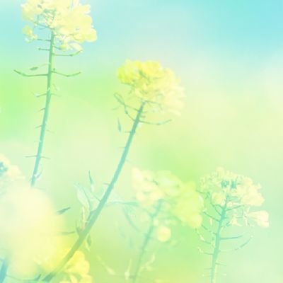 ugR7RrwbWz43512's profile picture. 一生遊んで暮らしたい