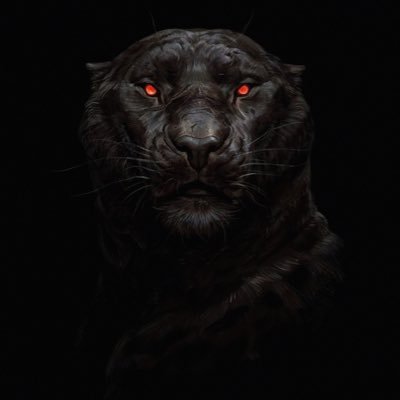 b107f8f25390402's profile picture. 