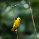 Scott Griffith - @ScottGriff16444 - Twitter