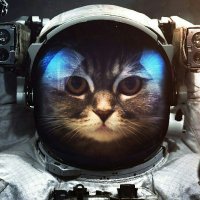 CatsInSpace2(@catsinspace002) 's Twitter Profile Photo