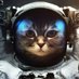 CatsInSpace2 (@catsinspace002) Twitter profile photo CatsInSpace2 (@catsinspace002) Twitter profile photo