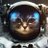 catsinspace002's profile image