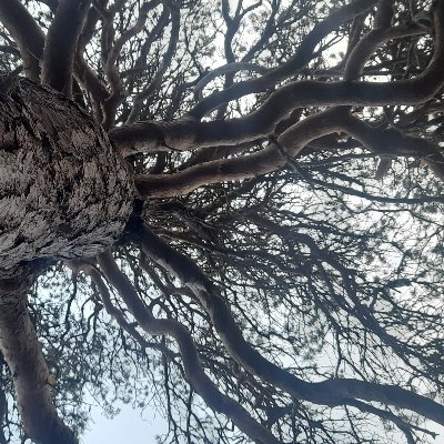 ehaagan's profile picture. 