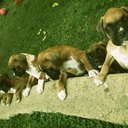 francisca schultz - @fran_schultz_j - Twitter