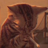 Felicity (@fel1city_tv) 's Twitter Profile Photo Felicity (@fel1city_tv) 's Twitter Profile Photo