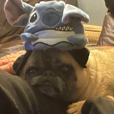 nyoomj's profile picture. hate it here. your local idot.