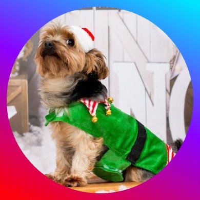 mr_Nobody2704's profile picture. https://t.co/6wAws4xpYO
https://t.co/4smcXNZfHg