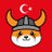 FlokiTurkiye's profile image