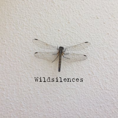 wildsilences Profile Picture