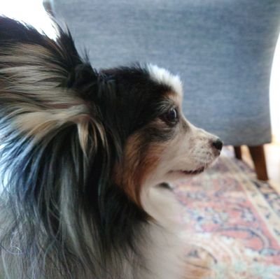 やこ@IRIAMラジオ勢