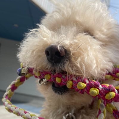 GaRACoN38's profile picture. 