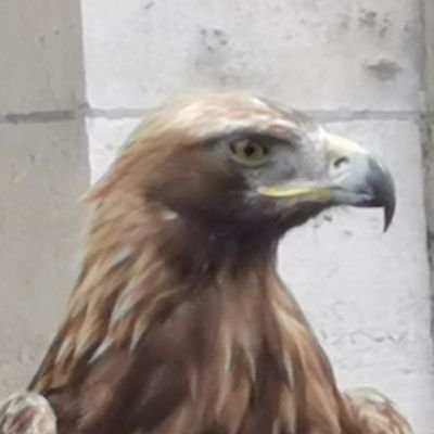 Free #charts #studies #cryptocurrencies #bitcoin #blockchain #crypto #trading #markets #altcoin donate #BTC if ❤️ 14ygHZVhma9vPGUDNkTwxWeyja9eBteaKe :)