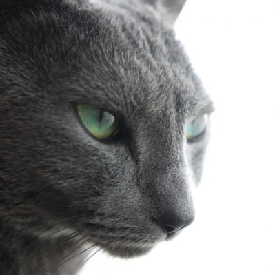 兼業トレーダー。 株は2012年から。為替は2018年から。 2025年は欲を出してTMF。。が引退間近です🥹