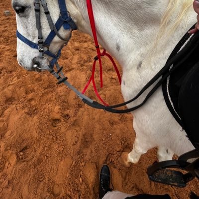 _Mnair38's profile picture. هل؟