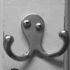 Cumhuriyettbak's profile picture. intj,