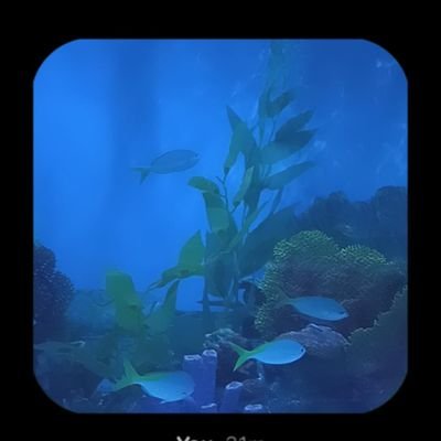 Tatae02's profile picture. 