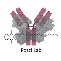 Nicola Pozzi (@labpozzi) 's Twitter Profile