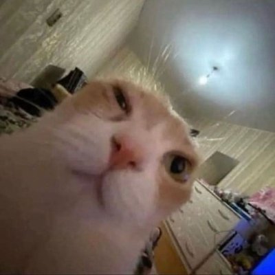 CubiplasmaHD's profile picture. 