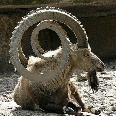 usman296597228's profile picture. 