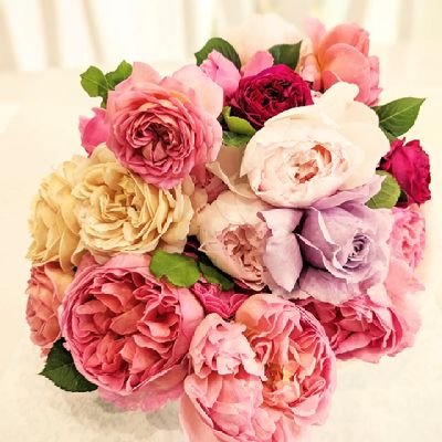 🌹とガーデニングが好き♥️20230810❤💒👨💍👩💐結婚済♥️/無言フォロー失礼します💦