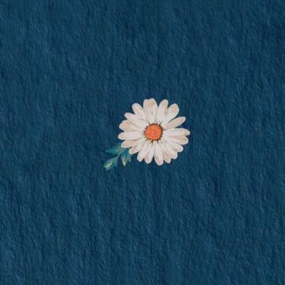 hellohiworldbye's profile picture. 