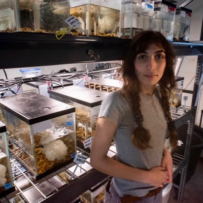 PhD student investigating the drivers and ecological impacts of individual behavioral trait variation in crayfish🦞 | UF Dean's Award Fellowship | she/they