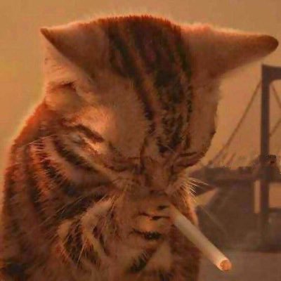 AutumnElegyJr's profile picture. 