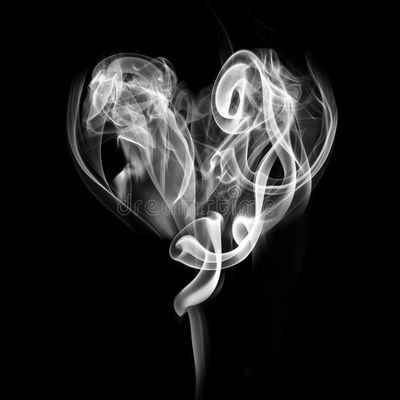 v73295779y's profile picture. Carpe Diem 😊