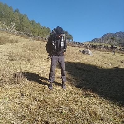 roythakur028's profile picture. On the way of Blockchain Developer