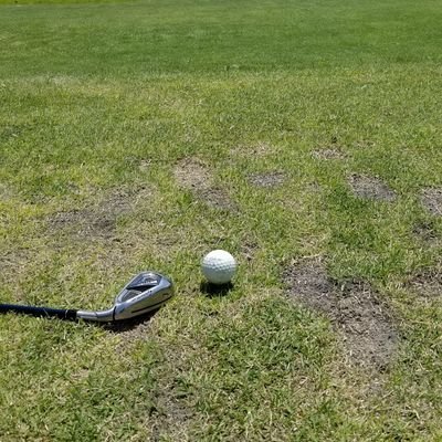 TOSHI84041297's profile picture. いつもありがとうございます🤗
DM❎