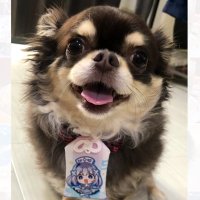 かもっこ (@kamokko777) 's Twitter Profile Photo かもっこ (@kamokko777) 's Twitter Profile Photo