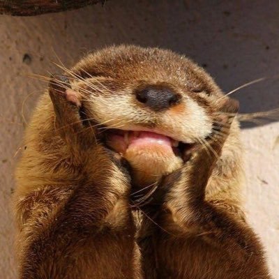 Fernypoppy's profile picture. nada k ver x aquí