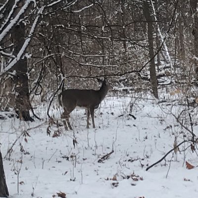 HKerInCA's profile picture. 半浮潛狀態｜A Hong Konger in Canada｜