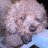 JalenBlezr's profile image