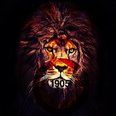 AsLaNOkTaY's profile image