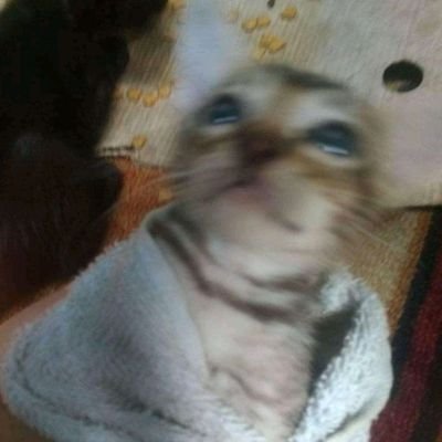 drzaxaaa's profile picture. 