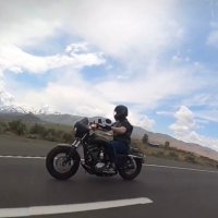 Wolfgang Danger (@wolfdanger47) 's Twitter Profile