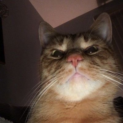 t_5cig's profile picture. ไม่ว่าง โปรดใจเย็น🕶🏁