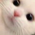 𝐀𝐢𝐦𝐞𝐞 (@hadiduidol) Twitter profile photo 𝐀𝐢𝐦𝐞𝐞 (@hadiduidol) Twitter profile photo