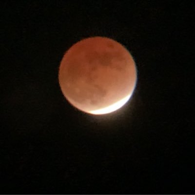 saku2ponpon's profile picture. あっ