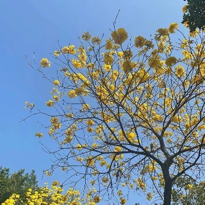 C01vgfth's profile picture. 