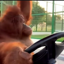 David Lasher - @DavidLashe10952 - Twitter