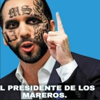 Carlos Quinteros (@carloquin503) 's Twitter Profile