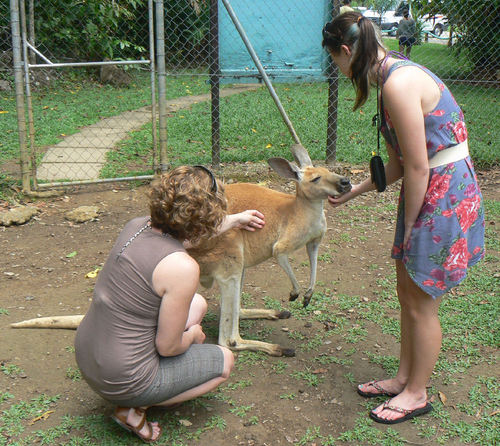 NZGirl5's profile picture. 