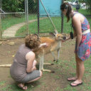 Becky Carr - @NZGirl5 - Twitter