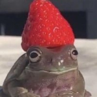 사타구니 켄타로 (@suedeisaband) 's Twitter Profile