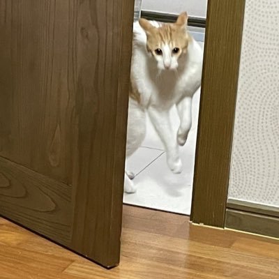 star1133559977's profile picture. https://t.co/4wc2ZHZtyh