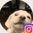 marasiya245024's profile image