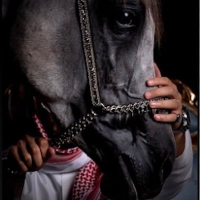غير صالح للعلاقات الغراميه فانا مختل عقليا و اتعاطى الرمث والبعيثران واكسر الشبوك واركض وحيدا بالخليان ☺ فني تخدير(ال غصيب)